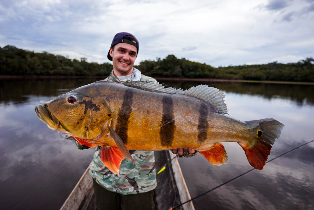 SportFishing, Puinawai, Guainia, Colombia, Amazonas, pesca deportiva, catch, realese, tucunaré, peacock