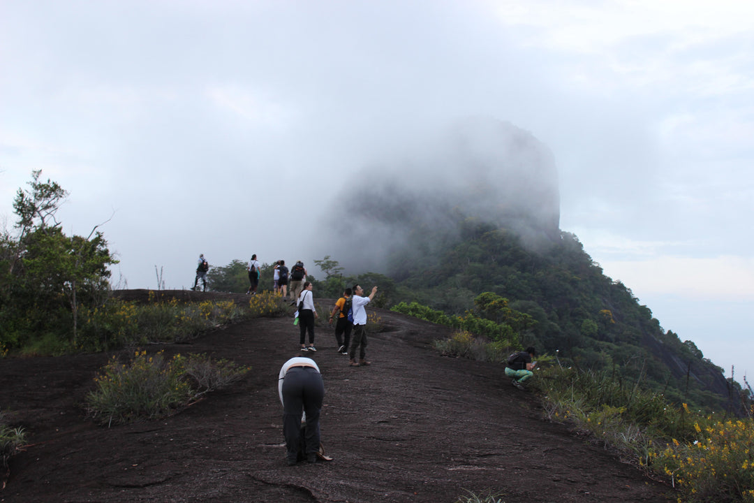 Ruta Mavicure – 4 días, 3 noches (Fecha Abierta) // Mavicure Route – 4 Days, 3 Nights (Flexible Dates / Private Tour)