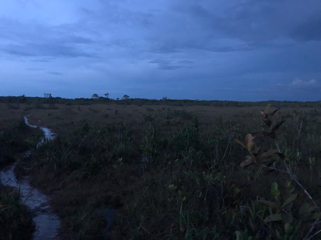 Cerros, Mavicure, Mavecure, Guainía, Rio Inírida, Ecoturismo, turismo de naturaleza