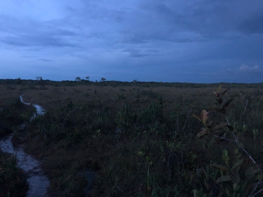 Cerros, Mavicure, Mavecure, Guainía, Rio Inírida, Ecoturismo, turismo de naturaleza