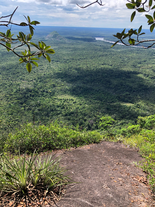 Cerros, Mavicure, Mavecure, Guainía, Rio Inírida, Ecoturismo, turismo de naturaleza