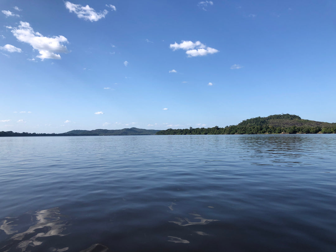 Amazon-Orinoco Jungle Photo Safari – 5 Days in Matavén, Colombia | Safari en la Selva Amazonas-Orinoquía – 5 Días en Matavén, Colombia