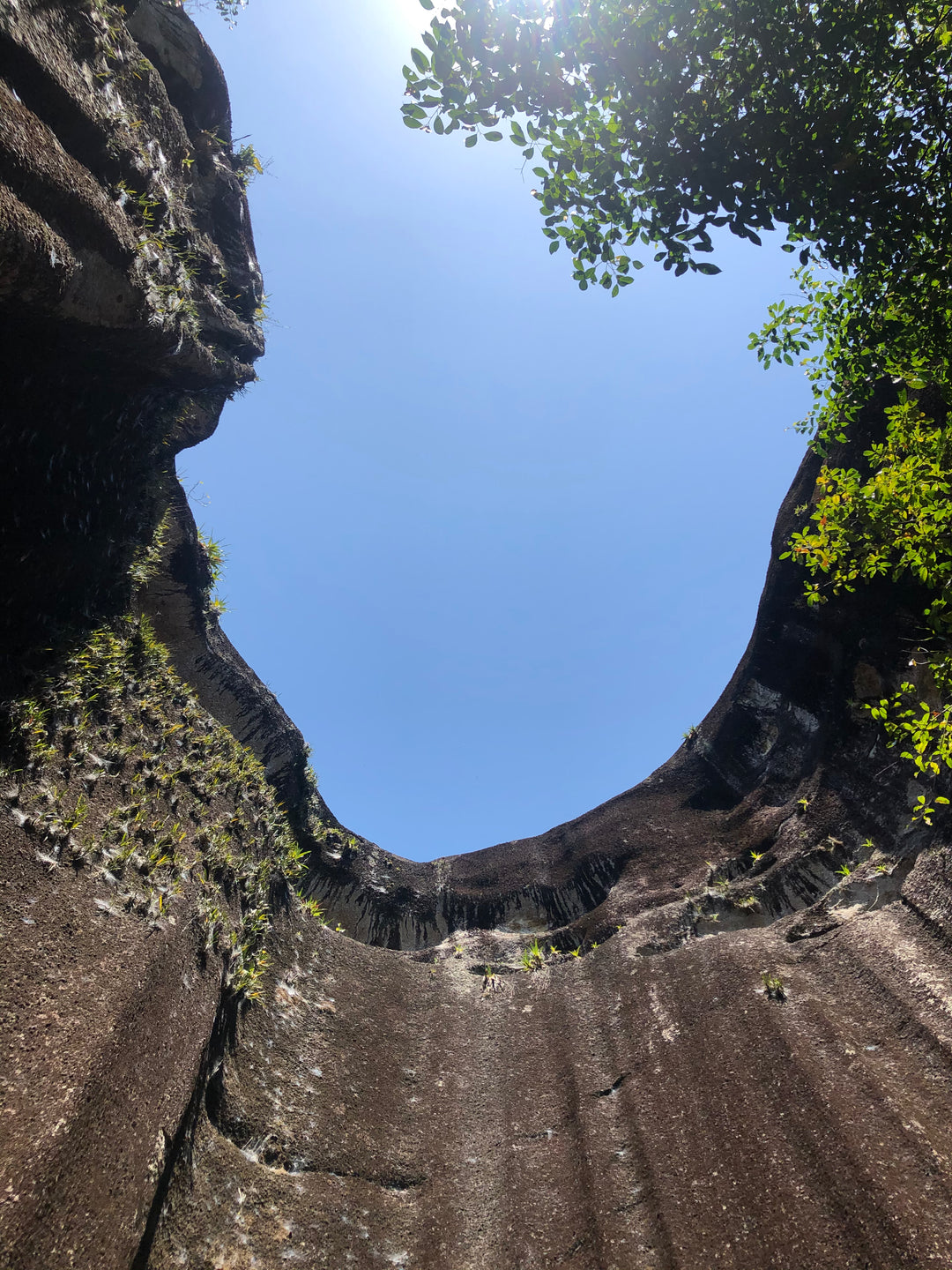 Amazon-Orinoco Jungle Photo Safari – 5 Days in Matavén, Colombia | Safari en la Selva Amazonas-Orinoquía – 5 Días en Matavén, Colombia