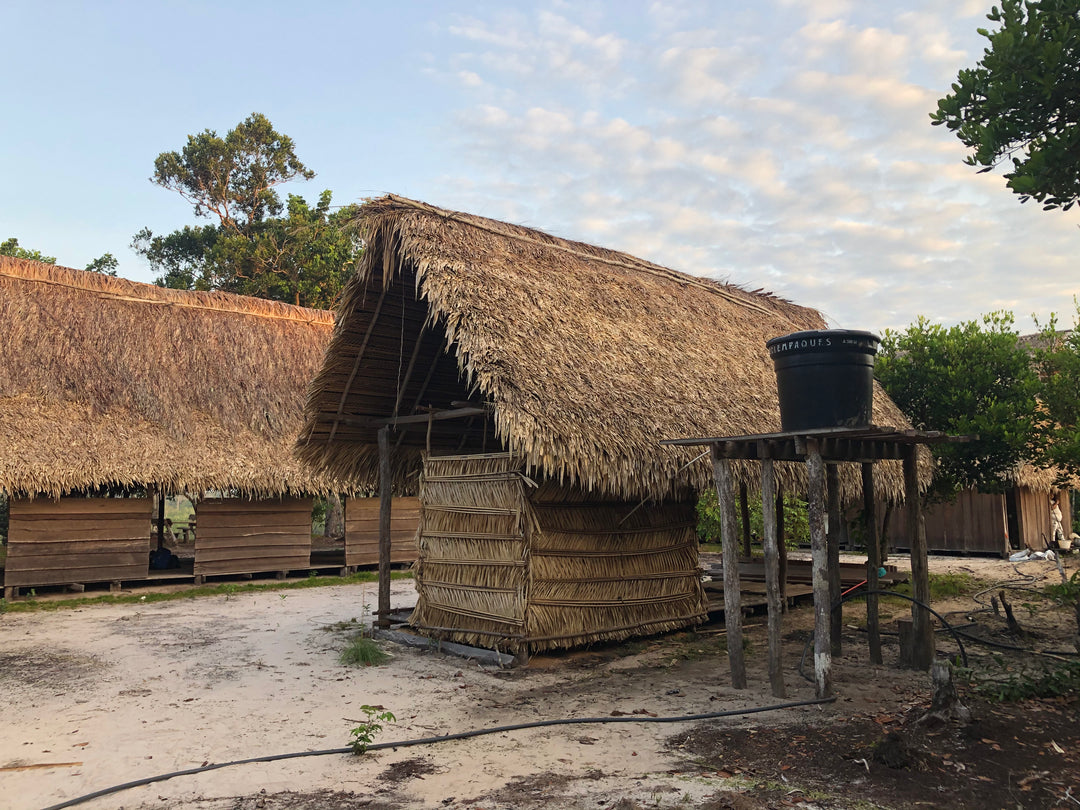 Amazon-Orinoco Jungle Photo Safari – 5 Days in Matavén, Colombia | Safari en la Selva Amazonas-Orinoquía – 5 Días en Matavén, Colombia