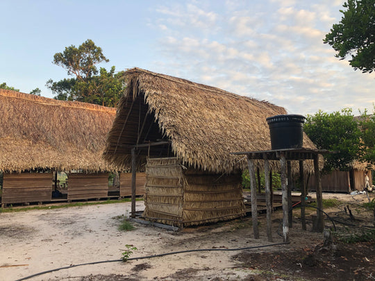 Amazon-Orinoco Jungle Photo Safari – 5 Days in Matavén, Colombia | Safari en la Selva Amazonas-Orinoquía – 5 Días en Matavén, Colombia