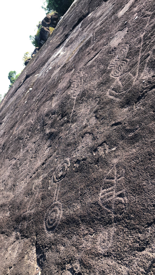 Amazon-Orinoco Jungle Photo Safari – 5 Days in Matavén, Colombia | Safari en la Selva Amazonas-Orinoquía – 5 Días en Matavén, Colombia