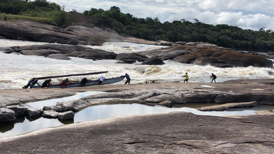🌍 Guianan Shield Expedition – 6 Days Puinawai Reserve & Mavicure | Expedición Escudo Guayanés – 6 Días Puinawai y Cerros de Mavicure