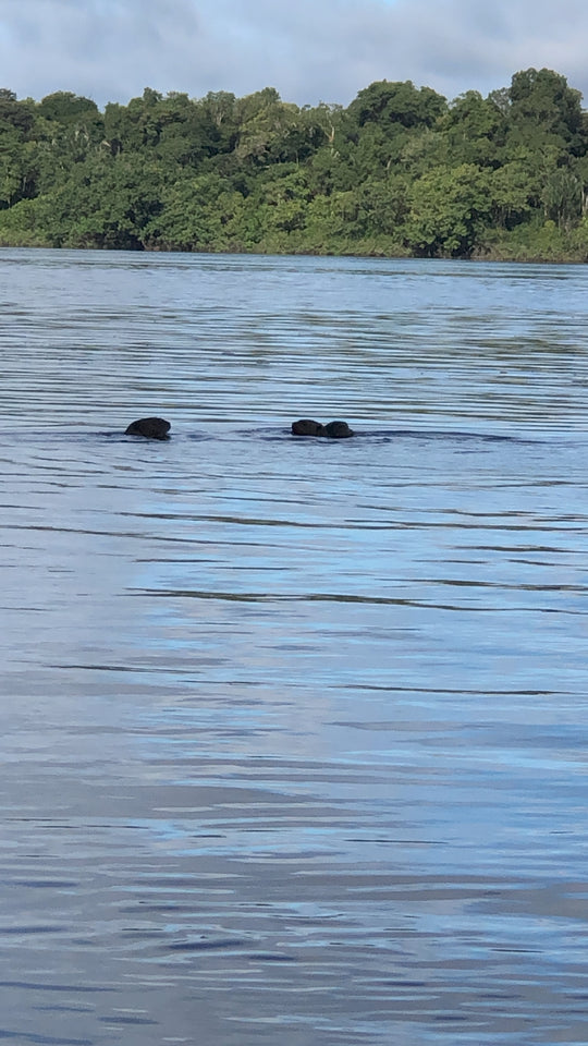Tour 7 Días – Amazonía Guainía Indígena (Fecha Abierta) / 7-Day Indigenous Amazon Experience in Guainía (Flexible Dates)