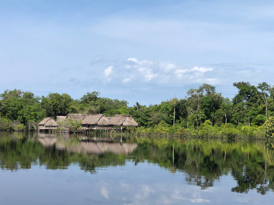 🌍 Guianan Shield Expedition – 6 Days Puinawai Reserve & Mavicure | Expedición Escudo Guayanés – 6 Días Puinawai y Cerros de Mavicure