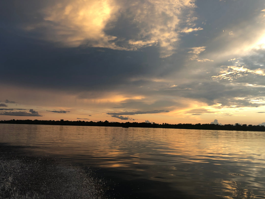 🌍 Guianan Shield Expedition – 6 Days Puinawai Reserve & Mavicure | Expedición Escudo Guayanés – 6 Días Puinawai y Cerros de Mavicure