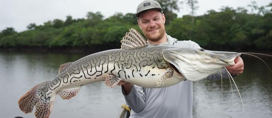 SportFishing, Puinawai, Guainia, Colombia, Amazonas, pesca deportiva, catch, realese, peacock