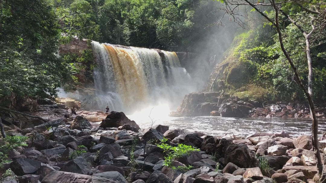 🌍 Guianan Shield Expedition – 6 Days Puinawai Reserve & Mavicure | Expedición Escudo Guayanés – 6 Días Puinawai y Cerros de Mavicure