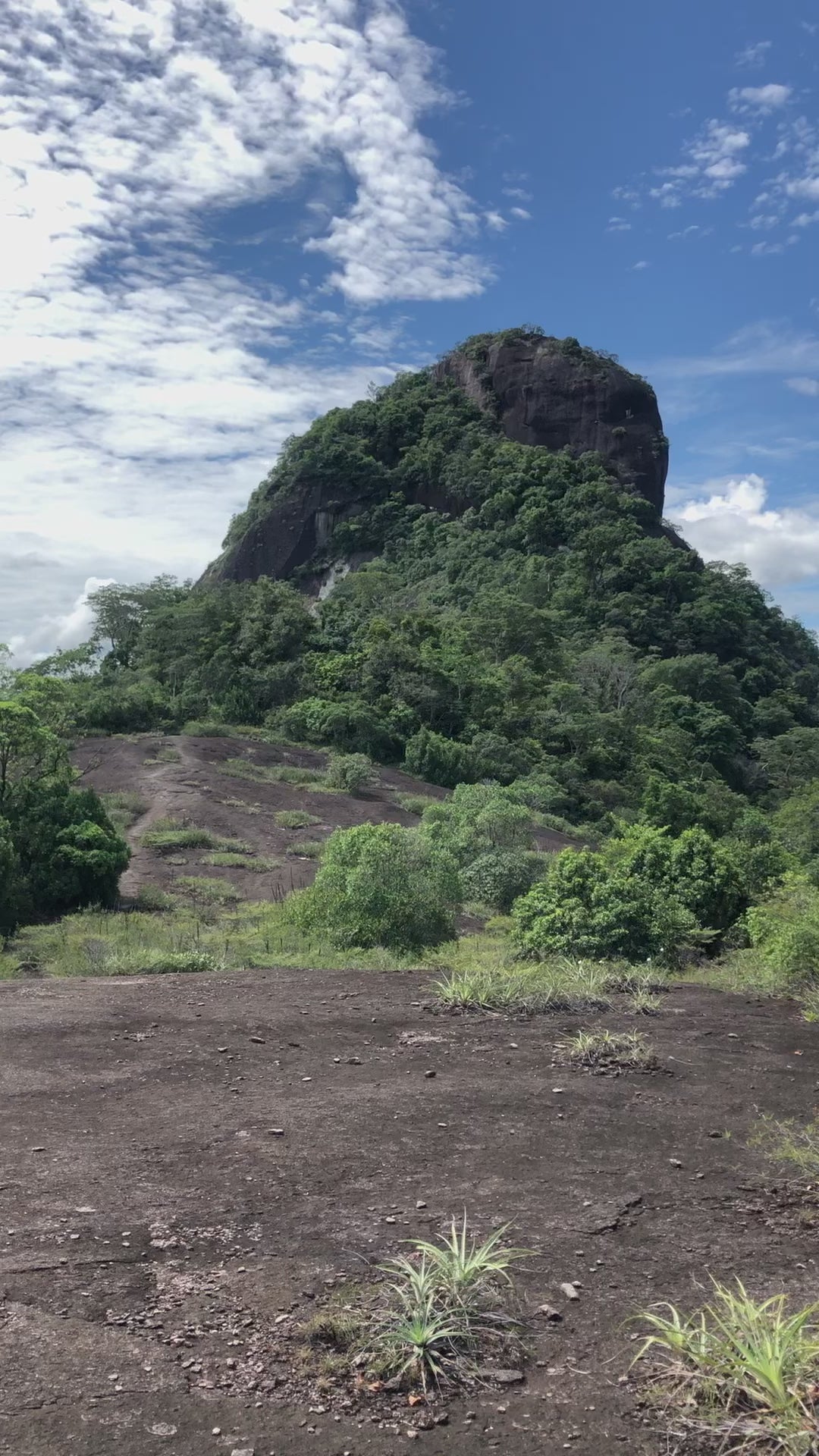 Cerros, Mavicure, Mavecure, Guainía, Rio Inírida, Ecoturismo, turismo de naturaleza