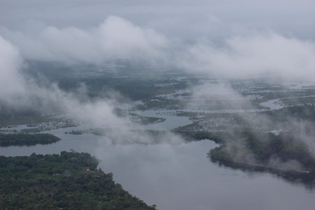 Guainía: el corazón del turismo amazónico en el noroccidente de la Amazonia