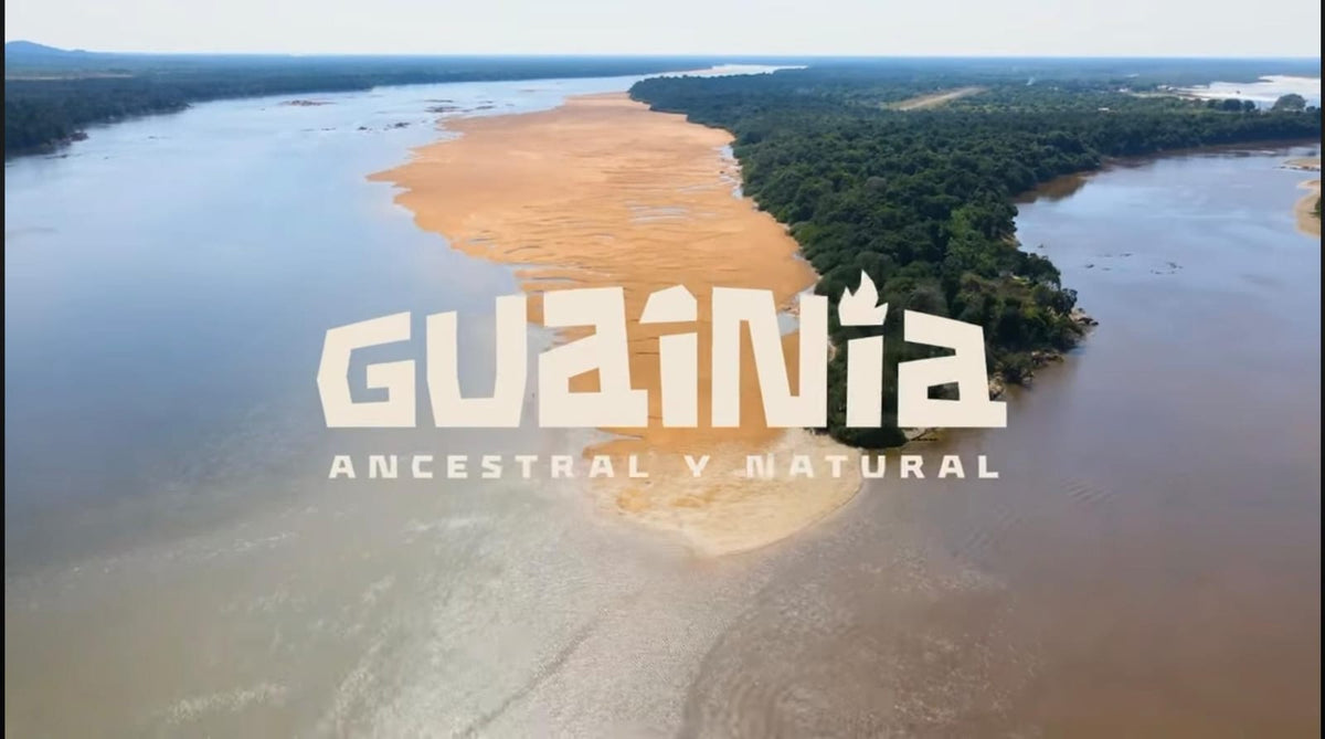 Estrella Fluvial de Inírida: por qué este humedal es único entre la Amazonía y la Orinoquía