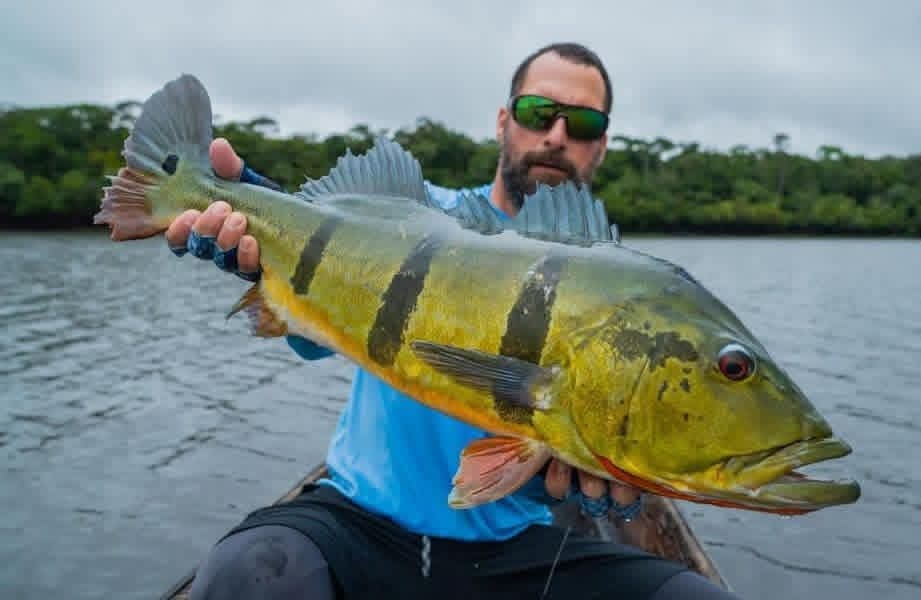 Viaje de Pesca dias de pesca – Bajo Río Inírida, Comunidad La Ceiba / Fishing Trip – Lower Inírida River