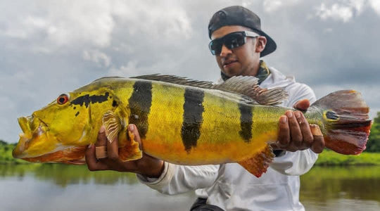 🌍 Guianan Shield Expedition – 6 Days Puinawai Reserve & Mavicure | Expedición Escudo Guayanés – 6 Días Puinawai y Cerros de Mavicure