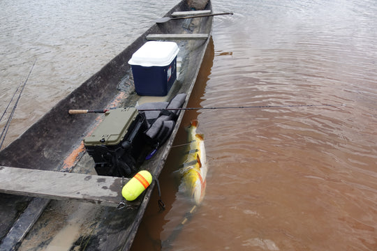 SportFishing, Puinawai, Guainia, Colombia, Amazonas, pesca deportiva, catch, realese, peacock
