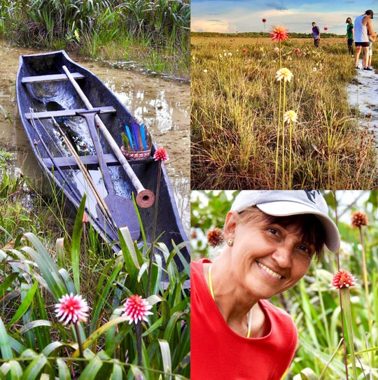 Pasadía Ecoparque Kenke – Naturaleza viva en Inírida // Kenke Ecopark Day Tour – Living Nature in Inírida
