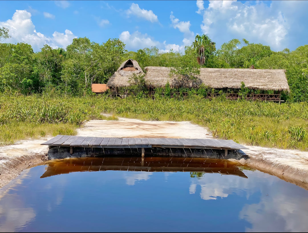 Pasadía Ecoparque Kenke – Naturaleza viva en Inírida // Kenke Ecopark Day Tour – Living Nature in Inírida