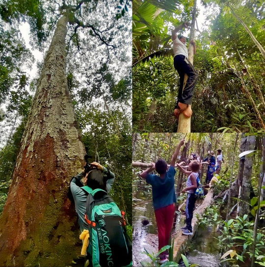 Pasadía Ecoparque Kenke – Naturaleza viva en Inírida // Kenke Ecopark Day Tour – Living Nature in Inírida