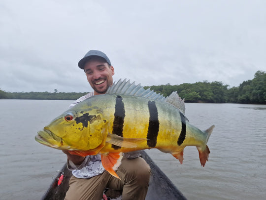 Viaje de Pesca dias de pesca – Bajo Río Inírida, Comunidad La Ceiba / Fishing Trip – Lower Inírida River