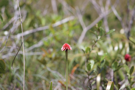 Ruta Mavicure – 4 días, 3 noches (Fecha Abierta) // Mavicure Route – 4 Days, 3 Nights (Flexible Dates / Private Tour)