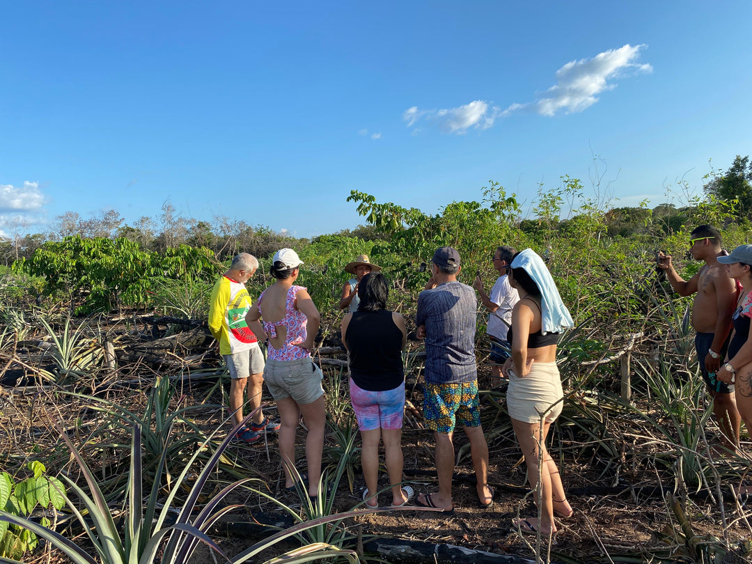 Ruta Mavicure: 4 Días, 3 Noches – Scheduled Group Tour / Fecha Fija programada