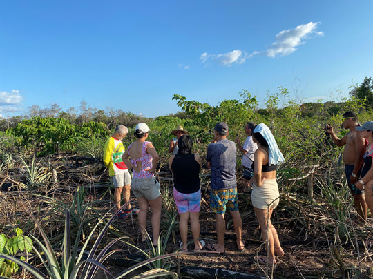 Ruta Mavicure: 4 Días, 3 Noches – Scheduled Group Tour / Fecha Fija programada
