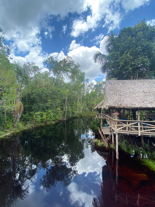 Tour 7 Días – Amazonía Guainía Indígena (Fecha Abierta) / 7-Day Indigenous Amazon Experience in Guainía (Flexible Dates)