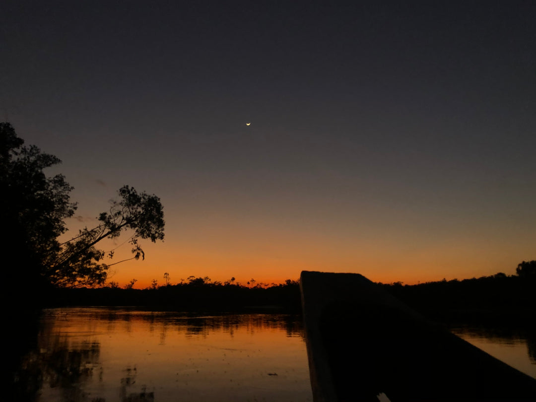 Amazon-Orinoco Jungle Photo Safari – 5 Days in Matavén, Colombia | Safari en la Selva Amazonas-Orinoquía – 5 Días en Matavén, Colombia