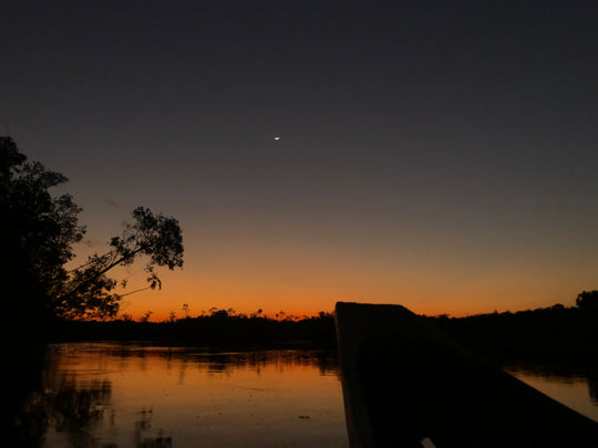 Amazon-Orinoco Jungle Photo Safari – 5 Days in Matavén, Colombia | Safari en la Selva Amazonas-Orinoquía – 5 Días en Matavén, Colombia