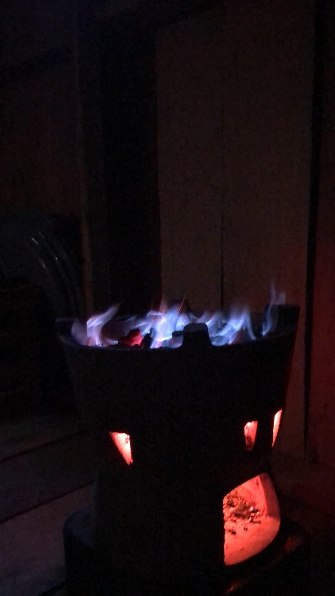 Amazon-Orinoco Jungle Photo Safari – 5 Days in Matavén, Colombia | Safari en la Selva Amazonas-Orinoquía – 5 Días en Matavén, Colombia