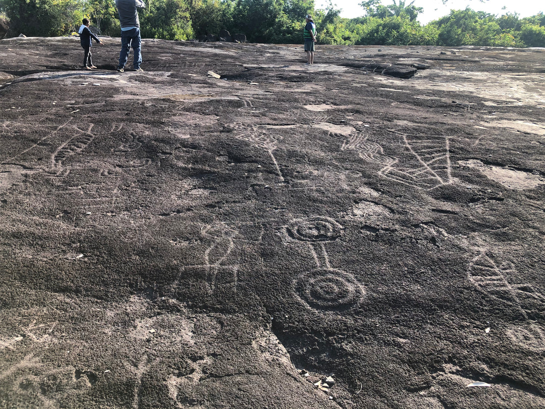 Amazon-Orinoco Jungle Photo Safari – 5 Days in Matavén, Colombia | Safari en la Selva Amazonas-Orinoquía – 5 Días en Matavén, Colombia