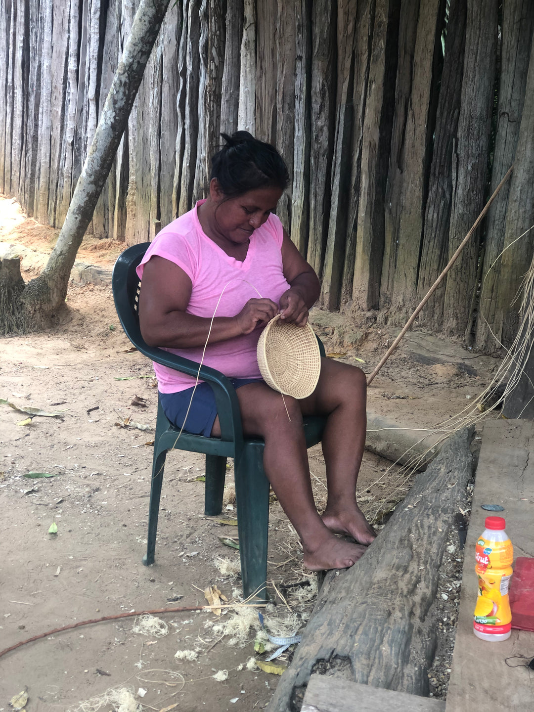 Amazon-Orinoco Jungle Photo Safari – 5 Days in Matavén, Colombia | Safari en la Selva Amazonas-Orinoquía – 5 Días en Matavén, Colombia