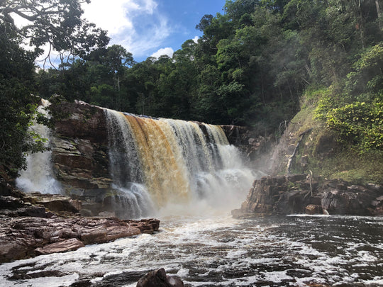 🌍 Guianan Shield Expedition – 6 Days Puinawai Reserve & Mavicure | Expedición Escudo Guayanés – 6 Días Puinawai y Cerros de Mavicure
