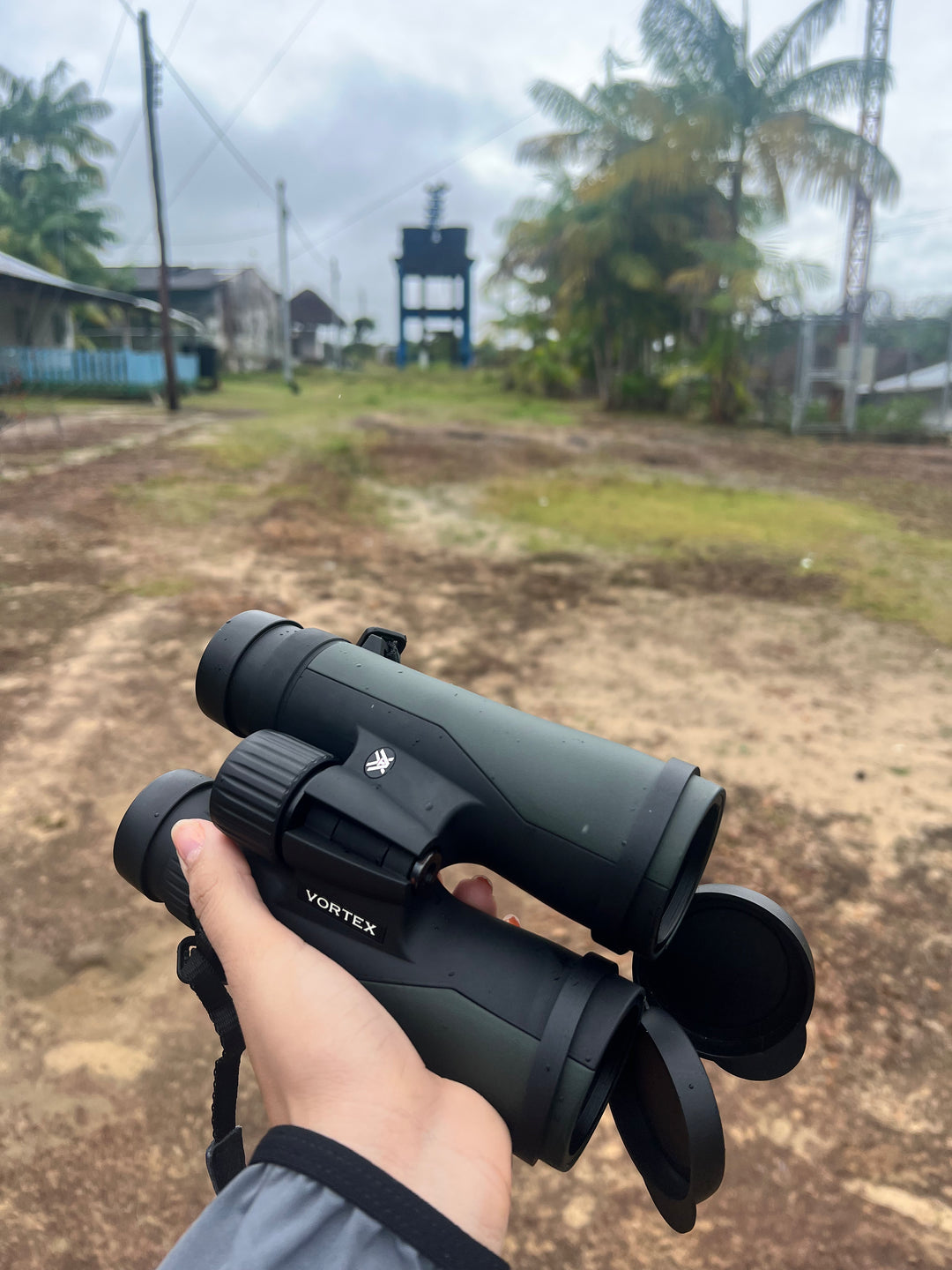 Avistamiento de Aves – 5 Días en Guainía (Fecha Abierta) / Birdwatching Tour – 5 Days in Guainía (Flexible Dates)