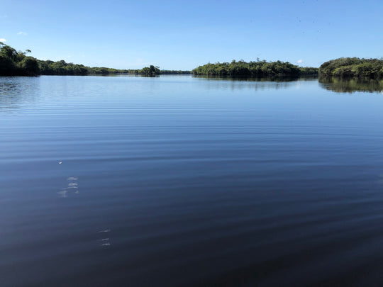 Tour 7 Días – Amazonía Guainía Indígena (Fecha Abierta) / 7-Day Indigenous Amazon Experience in Guainía (Flexible Dates)