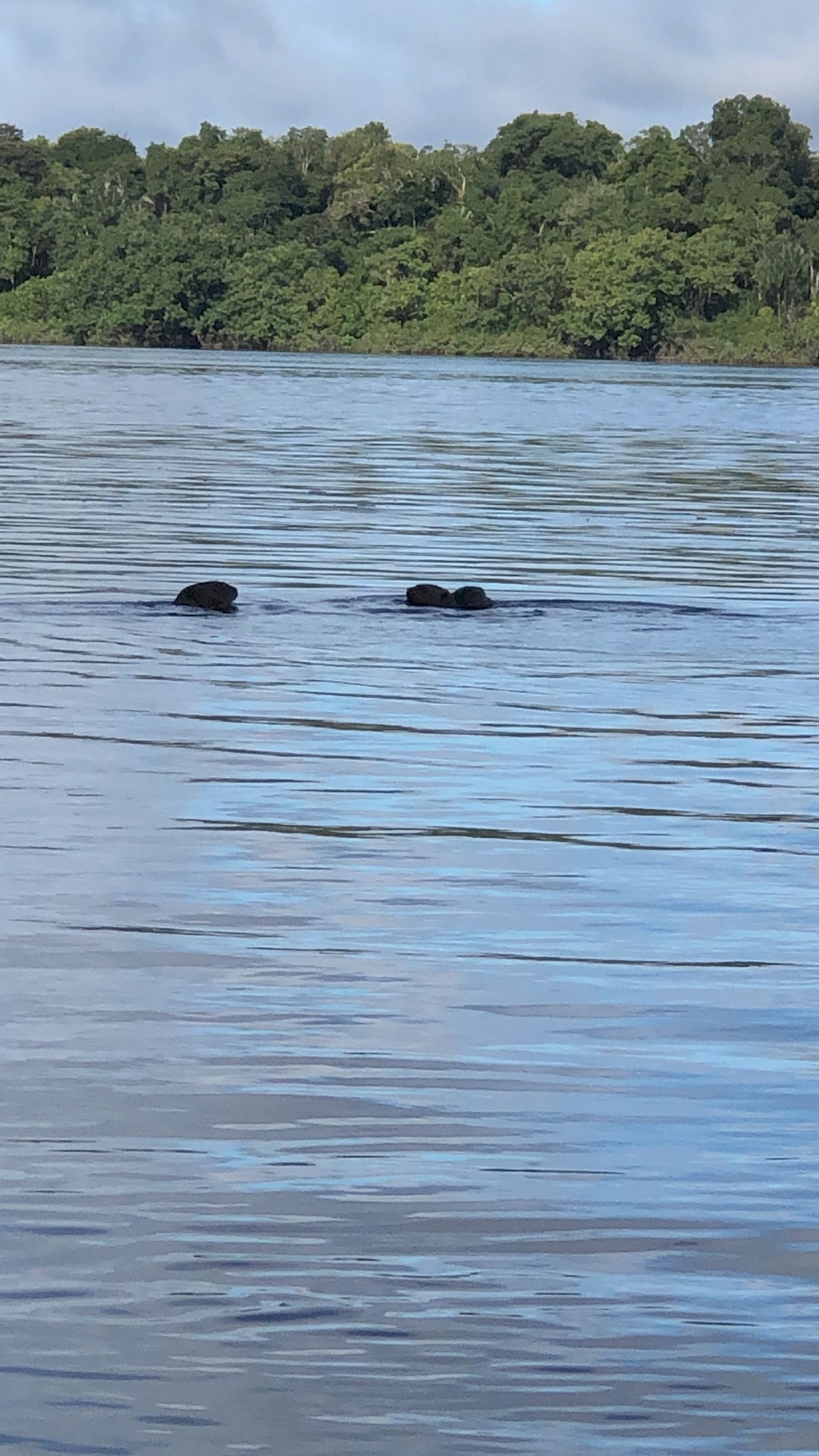 Tour 7 Días – Amazonía Guainía Indígena (Fecha Abierta) / 7-Day Indigenous Amazon Experience in Guainía (Flexible Dates)