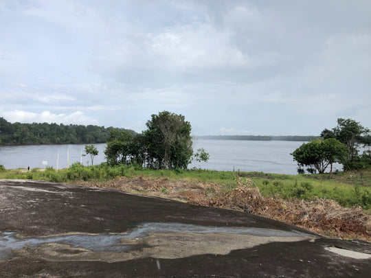 🌍 Guianan Shield Expedition – 6 Days Puinawai Reserve & Mavicure | Expedición Escudo Guayanés – 6 Días Puinawai y Cerros de Mavicure