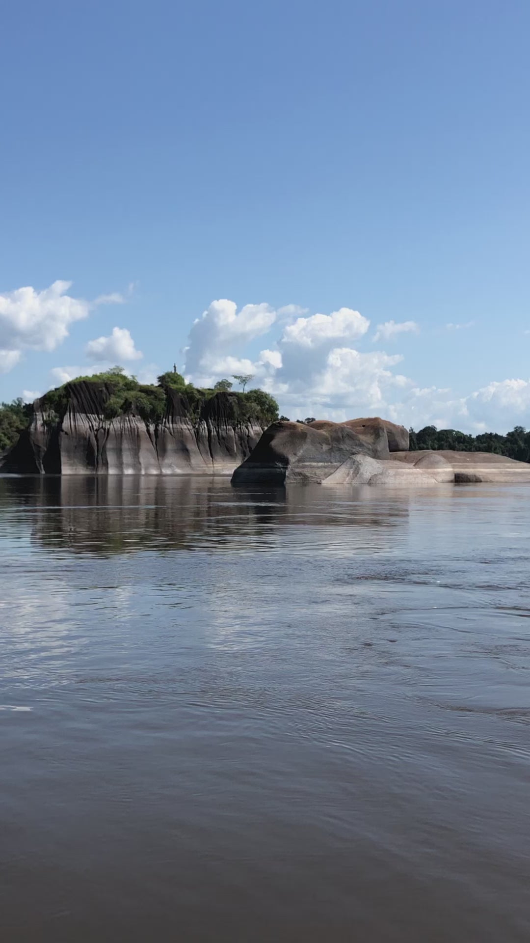 Amazon-Orinoco Jungle Photo Safari – 5 Days in Matavén, Colombia | Safari en la Selva Amazonas-Orinoquía – 5 Días en Matavén, Colombia