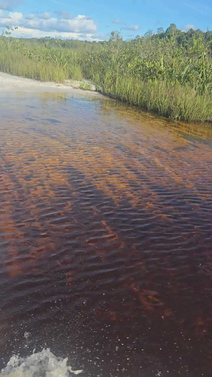 Pasadía en Moto – Sabanas de Inírida (Fecha Abierta) / One-Day Motorbike Adventure – Inírida Savannas (Flexible Date)