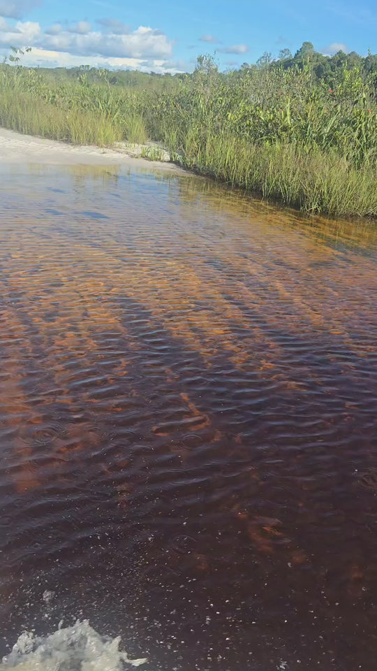 Pasadía en Moto – Sabanas de Inírida (Fecha Abierta) / One-Day Motorbike Adventure – Inírida Savannas (Flexible Date)