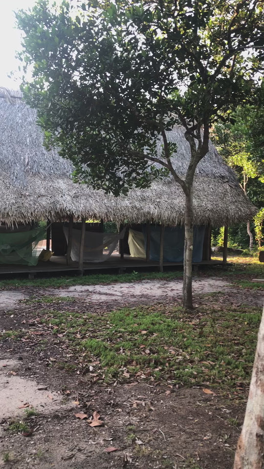 Amazon-Orinoco Jungle Photo Safari – 5 Days in Matavén, Colombia | Safari en la Selva Amazonas-Orinoquía – 5 Días en Matavén, Colombia