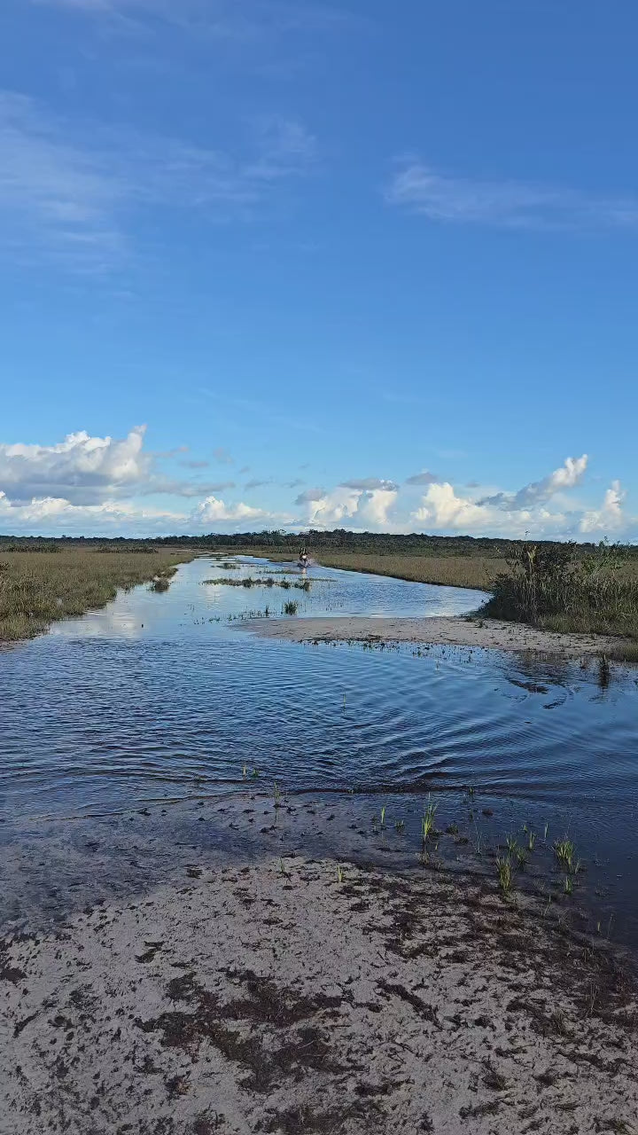 Pasadía en Moto – Sabanas de Inírida (Fecha Abierta) / One-Day Motorbike Adventure – Inírida Savannas (Flexible Date)