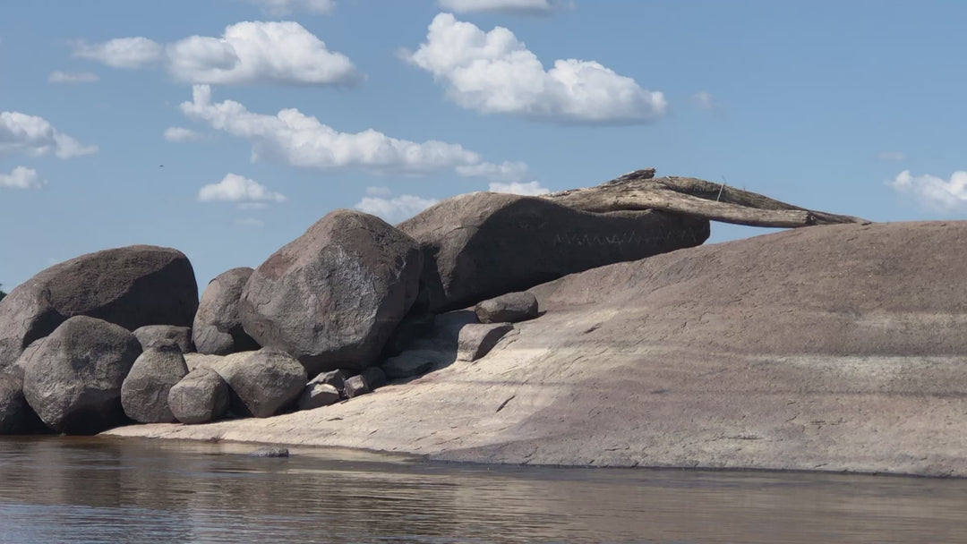 Amazon-Orinoco Jungle Photo Safari – 5 Days in Matavén, Colombia | Safari en la Selva Amazonas-Orinoquía – 5 Días en Matavén, Colombia